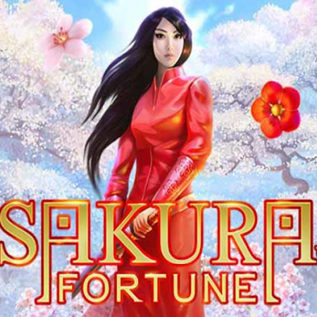 Các tính năng game slot Sakura Fortune