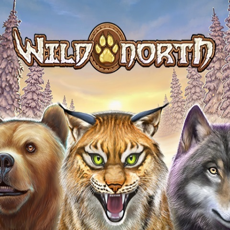 Tới vùng đất lạnh giá cùng game slot Wild North